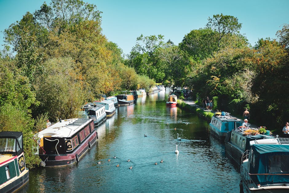 A canal lined with a row of moored narrowboats and houseboats, some with floral decorations and outdoor seating areas. The water reflects the boats and surrounding greenery, with ducks swimming in the canal. Dense trees with green and autumnal foliage border both sides of the waterway, creating a peaceful outdoor setting. Bright daylight illuminates the scene, with a clear blue sky overhead. In the distance, people can be seen walking along the towpath, some near the boats. This image depicts a tranquil scene typical of a houseboat community or canal-side leisure area, highlighting the environment associated with house removals and relocation services by Man with Van Teddington, supporting the theme of furniture transport and home relocation along scenic waterways.