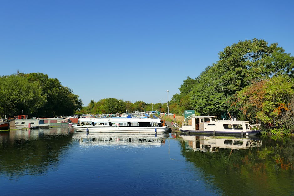 https://manwithvanteddington.co.uk/blog/bushy-park-to-teddington-lock-best-sameday-moves/