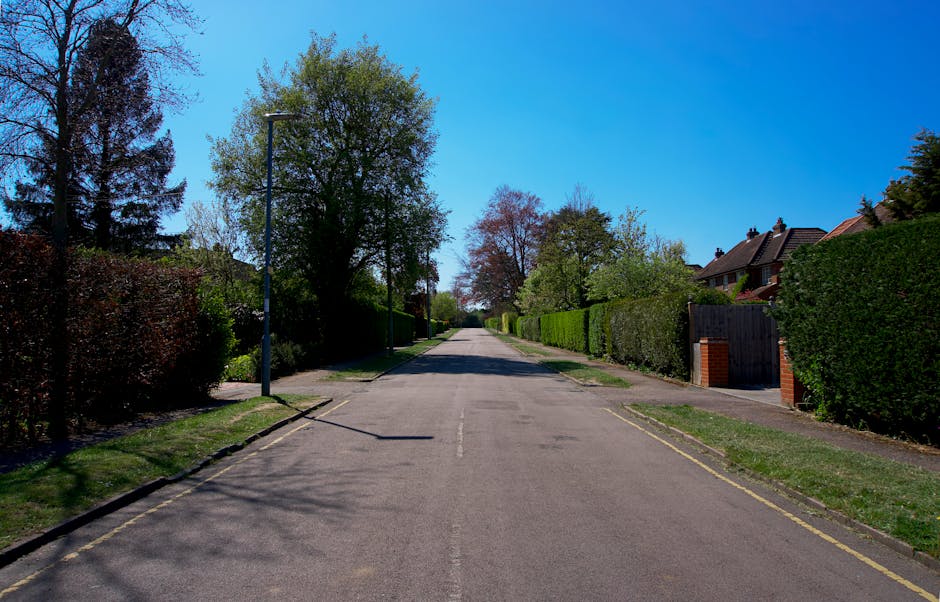 A quiet residential street during daytime with a clear blue sky, featuring well-maintained hedges and gardens on both sides, and a straight, paved road with a central dashed line. Tall trees with green and reddish foliage cast shadows across the pavement. On the right, there is a brick boundary wall with a wooden gate, and on the left, a streetlamp is visible. The scene depicts a suburban environment suitable for home relocation or house removals, with no vehicles or moving equipment present, highlighting the calm setting where furniture transport or packing and moving activities from Man with Van Teddington could take place.