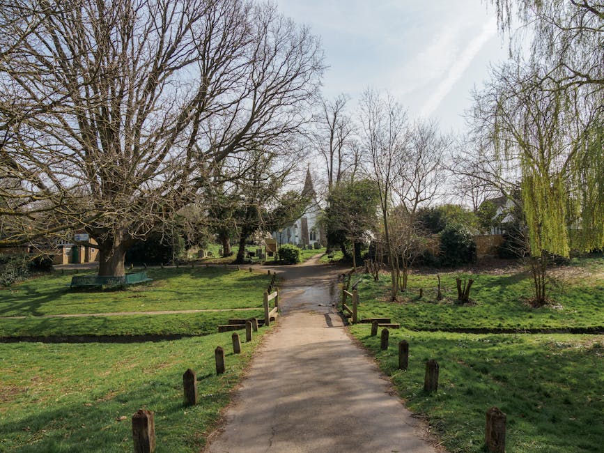 A quiet residential street during daytime with a clear blue sky, featuring well-maintained hedges and gardens on both sides, and a straight, paved road with a central dashed line. Tall trees with green and reddish foliage cast shadows across the pavement. On the right, there is a brick boundary wall with a wooden gate, and on the left, a streetlamp is visible. The scene depicts a suburban environment suitable for home relocation or house removals, with no vehicles or moving equipment present, highlighting the calm setting where furniture transport or packing and moving activities from Man with Van Teddington could take place.